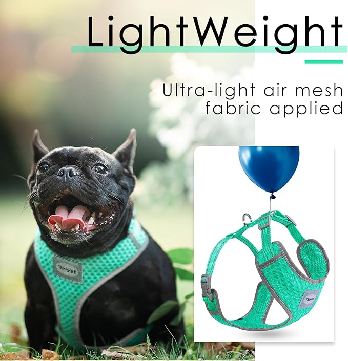 ThinkPet Reflective Breathable Soft Air Mesh No Pull Puppy Choke Free Over Head Vest Ventilation Harness for Puppy Small Medium Dogs (Neon Green,L)