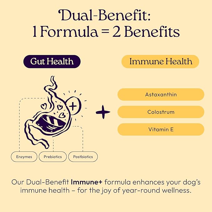 New! WellJoy Dog Supplement Immune+ GutBoost | Dog Health Supplement | Enhances Immune Response | Dual-Benefit GutBoost Formulation | Vet Formulated | Made in USA | Chicken Flavor | 90 Soft Chews