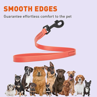 Dogline Biothane Waterproof Dog Leash Strong Coated Nylon Webbing with Black Hardware Odor-Proof Easy to Clean High Performance for Small or Large Dogs Made in USA 2 ft Lead, Coral