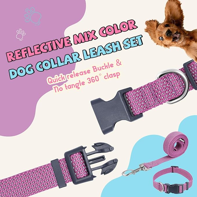 Reflective Dog Collar and Leash Set, Nylon Dog Leash with Heavy-Duty Steel D-Ring, Adjustable with Quick Release Buckle for Small Dogs, Purple S