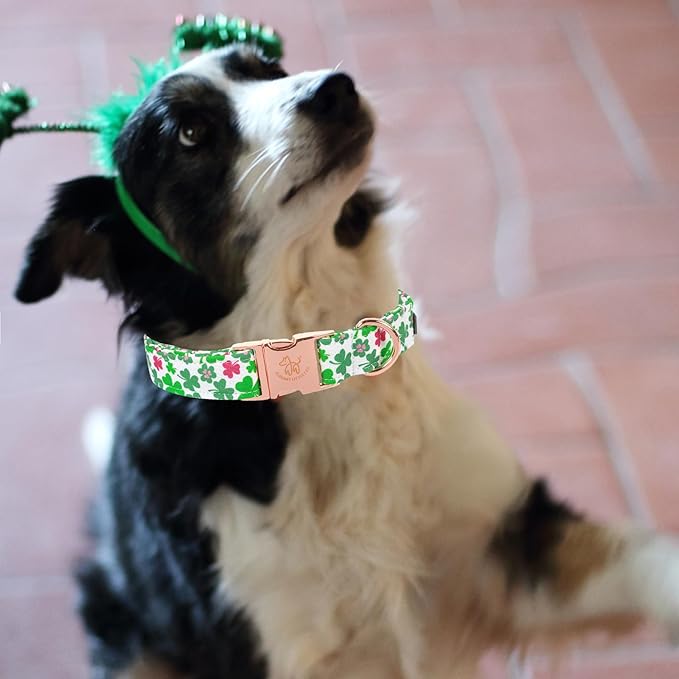 Elegant Little Tail Green Clover XL Dog Collar, Unique Design, Cotton, Adjustable, X-Large Dogs