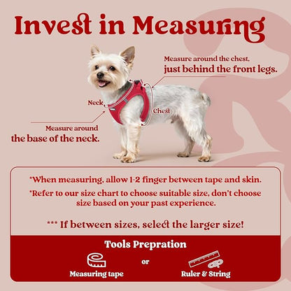 rabbitgoo Small Dog Harness, Step-in Soft Mesh Puppy Vest with Safety Buckle, Breathable Reflective Pet Harness for Small Sized Dogs, Red M