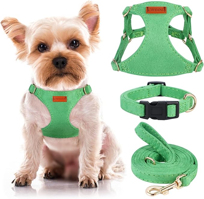 No Pull Dog Harness- Lightweight, Soft, Adjustable Small Harness Collar and Leash Set, Suitable for Cats Puppy Small and Medium-Sized Dog Outdoor Training and Running (Green, XXS)