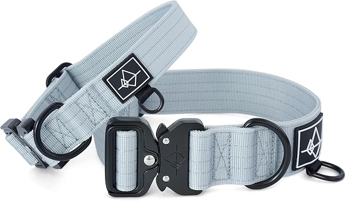 Made to ROAM Premium Dog Collar - Adjustable Heavy Duty Nylon Collar with Quick-Release Metal Buckle (Alaska Daybreak, Classic Size 1)