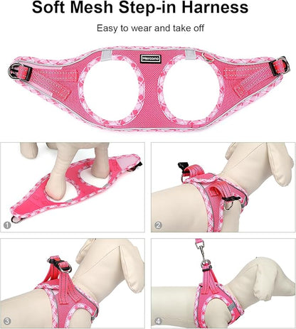 Mercano Soft Mesh Dog Harness and Leash Set, No-Chock Step-in Reflective Breathable Lightweight Easy Walk Vest Harnesses with Safety Buckle for Small Dogs, Cats (S, Fuchsia)