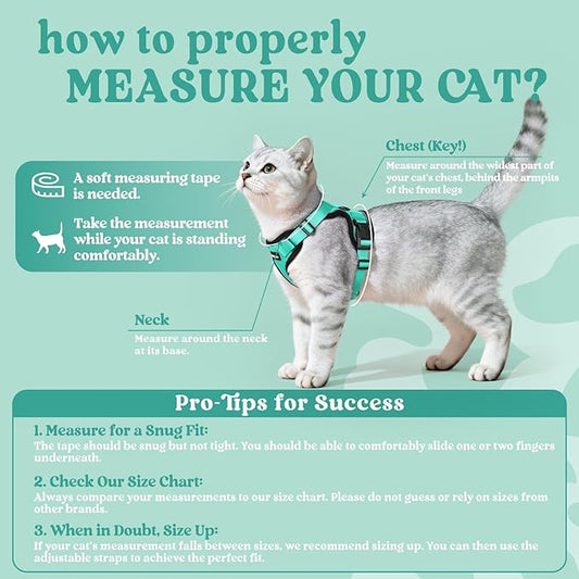rabbitgoo Cat Harness and Leash for Walking, Escape Proof Soft Adjustable Vest Harnesses for Cats, Easy Control Breathable Reflective Strips Jacket, Emerald, XXS