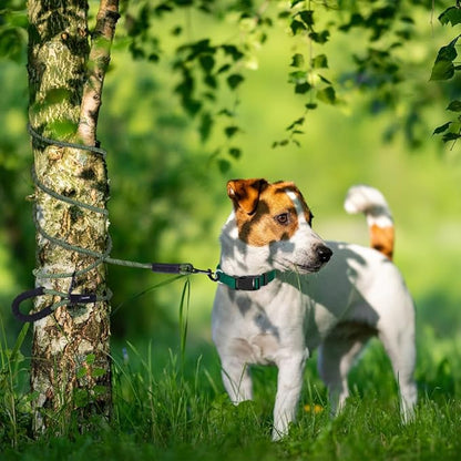Long Leash for Dogs 10ft 16ft 30ft 50 Feet 100 Foot Tie Out Check Cord Recall Obedience Rope Lead Extra Longline Long Dog Leash for Small Medium Large Dogs Outdoor Training Camping Tracking