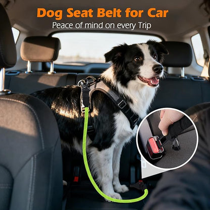 PetBonus Dog Seat Belt for Car, Durable Rope Dog Car Harness Seatbelt for Vehicle, Pet Tether Safety Restraint with Heavy Duty Buckle Hook Latch Lockable Clip for Small Medium Large Breeds (Green)