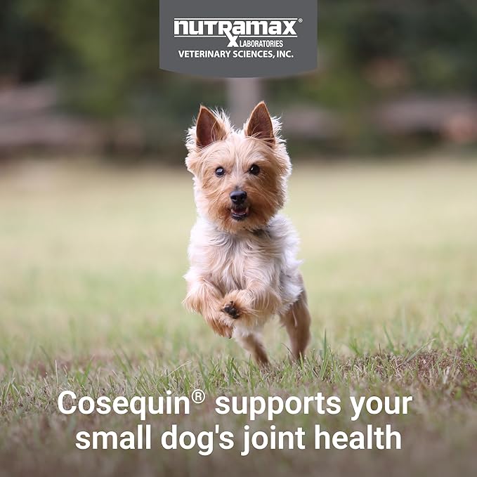 Cosequin Minis Soft Chews Maximum Strength with MSM Plus Omega3, 45 Count