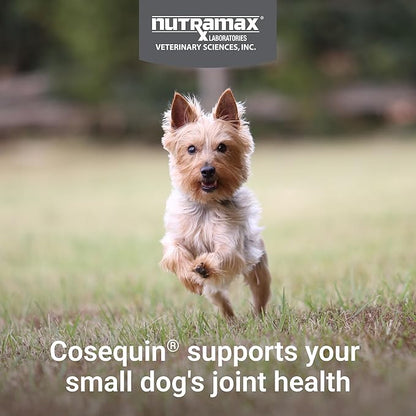 Cosequin Minis Soft Chews Maximum Strength with MSM Plus Omega3, 45 Count