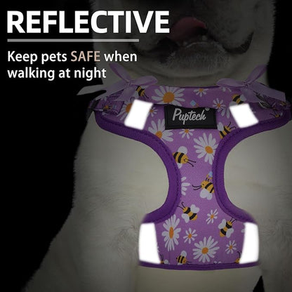 PUPTECK Dog Harness and Leash Set Small Sized, Step in No Pull Adjustable Puppy Cat Harness Reflective Pet Vest