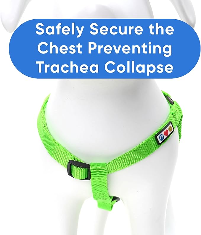 Pawtitas Solid Step-in Dog Harness – Adjustable No-Pull Vest for Puppies to Seniors, Safe & Comfortable XS Green