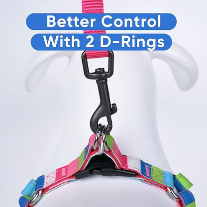Pawtitas Multicolor Step-in Dog Harness – Adjustable No-Pull Vest for Puppies to Seniors, Safe & Comfortable XS Pink/Blue/Teal/Green