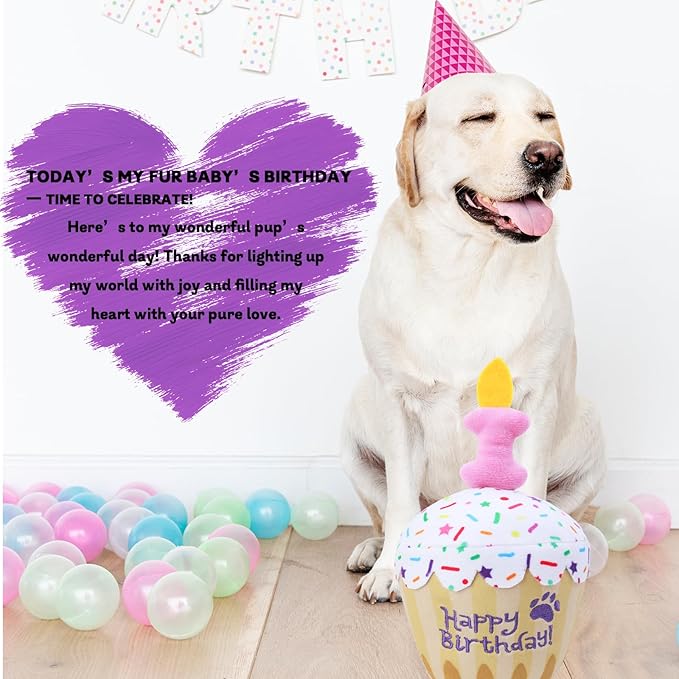 MRSOHRET Dog Birthday Toy, Birthday Cake Plush Squeak Dog Toys for Puppy Gifts, Unique Bone Candle Design, Dogs Party Decor