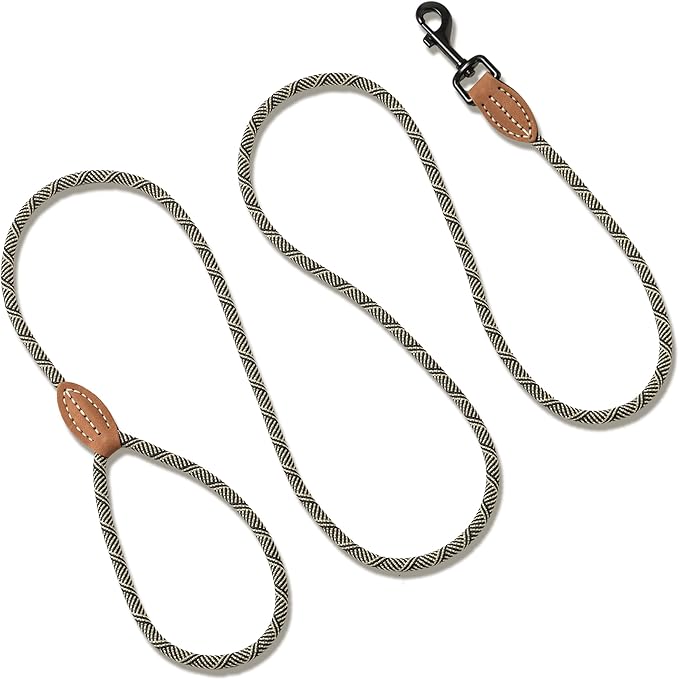 Mile High Life Small Dog Leash, Thin Rope Leash with Genuine Leather Connection and Heavy Duty Metal Clasp, Great for Small Medium Dogs(White,48 Inch-1/3)