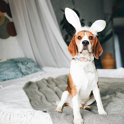 Lionheart glory Easter Collar Rabbit Print Dog Collar for Medium Cute Dog Collars Spring Female or Male Pet Gift Adjustable Heavy-Duty Dogs Collar Holiday