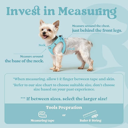 rabbitgoo Small Dog Harness, Step-in Soft Mesh Puppy Vest with Safety Buckle, Breathable Reflective Pet Harness for Small Medium Dogs, Mint Blue XL