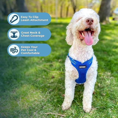 Best Pet Supplies Voyager Adjustable Step-in Flex Breathable Mesh Dog Harness for Small Medium Large Dogs Leash Set (Royal Blue), XL