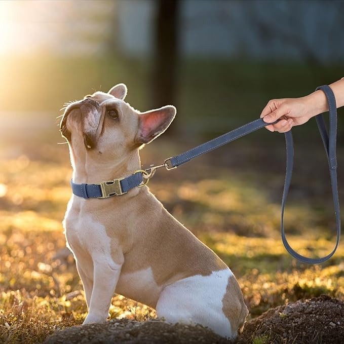 Didog PU Leather Dog Leash, Colorful Dog Leash 4ft, Strong and Durable Faux Leather Lead, Walking and Training Lead for Small Medium Dogs,Blue