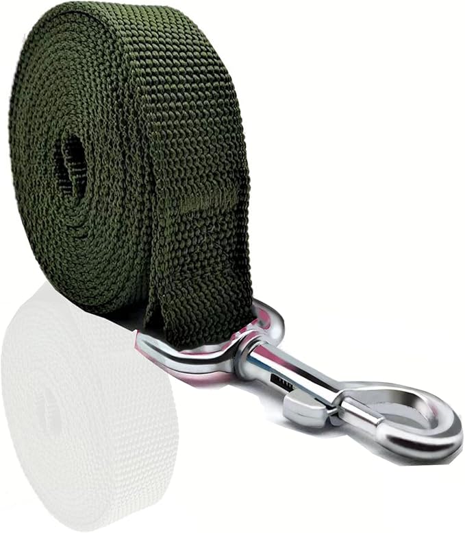 Nylon Dog Leash 8 Feet Long, Walking Training Dog Leashes for Medium Large Dogs(1" X 8 ft, Gree)