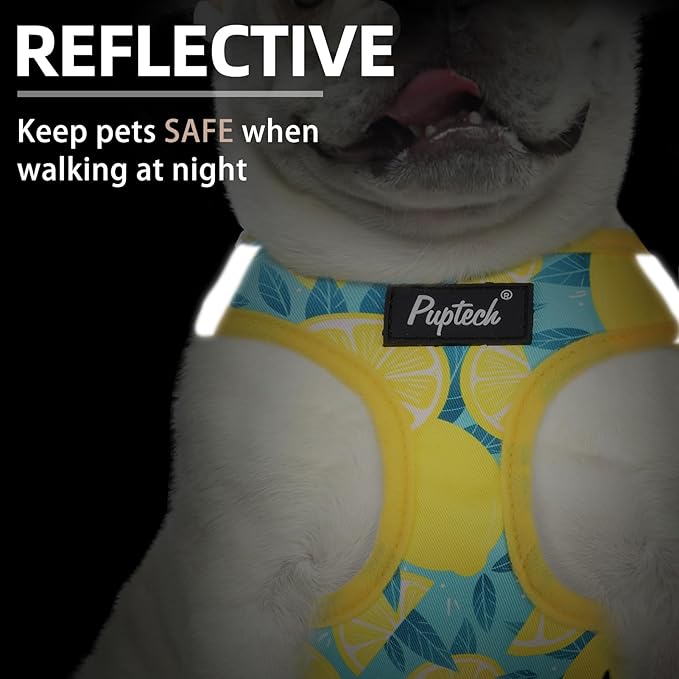 PUPTECK Dog Harness and Leash Set for Small Medium Dogs No Pull Step-in Soft Mesh Puppy Cat Vest Harnesses Reflective at Night, Yellow Lemon, S