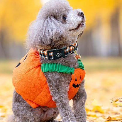 Elegant little tail Fall Dog Collar, Fall Plaid Pet Dog Collar Cotton Soft Male Collars Holiday with Quick Release Buckle Pet Puppy Collars for Medium Dogs