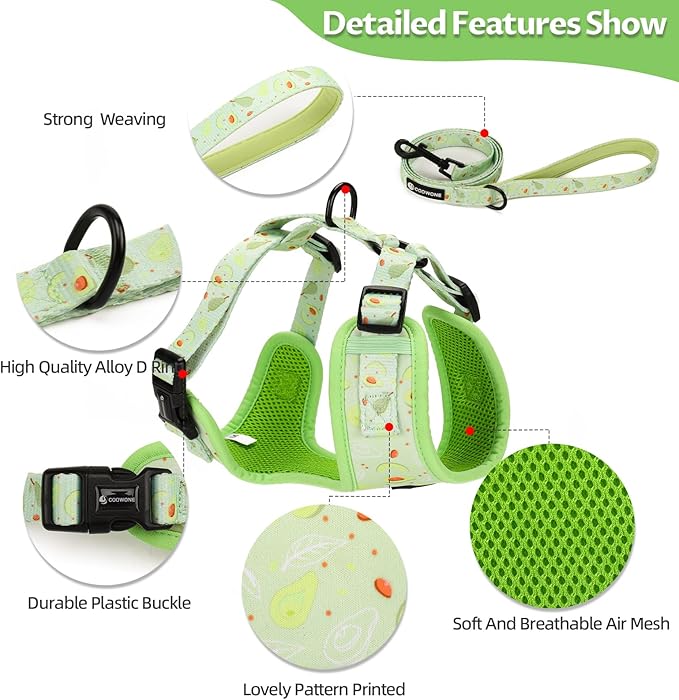 Dog Harness and Leash Set, Adjustable Dog Harness, Dog Leash, No Pull No Choke Puppy Harnesses for Walking Training for Small Medium Pet