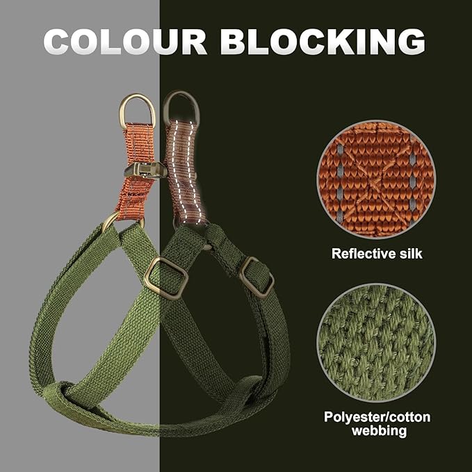 Didog Step in Dog Harness with Metal Buckles, Freedom Nylon Dog Halter Vests for Medium Dogs Easy Walking Training(M:Chest 19-28", Green)