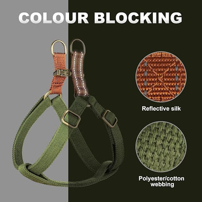 Didog Step in Dog Harness with Metal Buckles, Freedom Nylon Dog Halter Vests for Medium Dogs Easy Walking Training(M:Chest 19-28", Green)