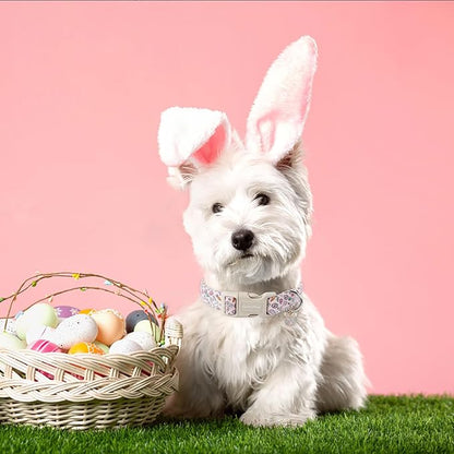 Lionet Paws Easter Dog Collar- Cute Rabbit Purple Eggs Pink Dog Collars with Plastic Buckle, Light Adjustable Dog Collars with Egg Pendant for Medium Large Dogs