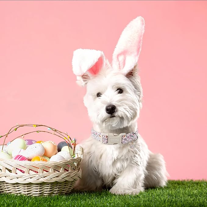 Lionet Paws Easter Dog Collar- Cute Rabbit Purple Eggs Pink Dog Collars with Plastic Buckle, Light Adjustable Dog Collars with Egg Pendant for Medium Dogs