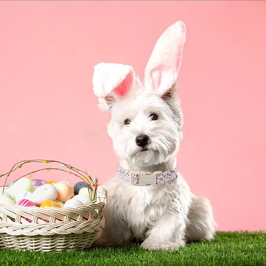 Lionet Paws Easter Dog Collar- Cute Rabbit Purple Eggs Pink Dog Collars with Plastic Buckle, Light Adjustable Dog Collars with Egg Pendant for Medium Dogs