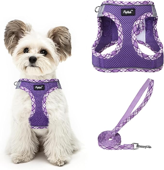 PUPTECK Dog Harness and Leash Set for Small Medium Dogs No Pull Step-in Soft Mesh Puppy Cat Vest Harnesses Reflective at Night, Upgraded New Purple S
