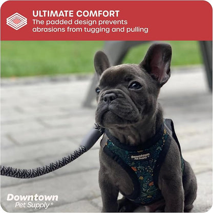 Downtown Pet Supply Step-in Dog Harness – No Pull, Adjustable Padded Mesh with Reflective Trim, Secure Buckle Strap – Comfortable & Breathable Small Dog Harness, X-Small, Dinosaur