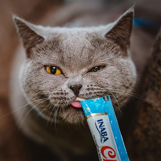 INABA Churu Cat Treats, Grain-Free, Lickable, Squeezable Creamy Purée Cat Treat/Topper with Vitamin E & Taurine, 0.5 Ounces Each Tube, 24 Tubes (4 per Pack), Chicken with Scallop Recipe