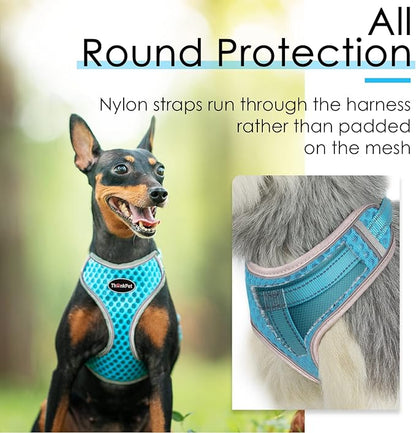 ThinkPet Reflective Breathable Soft Air Mesh No Pull Puppy Choke Free Over Head Vest Harness for Puppy Small Medium Dogs and Cats Light Blue Small