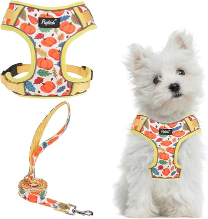 PUPTECK Thanksgiving Fall Small Dog Harness and Leash Set, No Pull Adjustable Puppy Cat Harness, Reflective Soft Mesh Pet Vest Small Sized, Leaves, S
