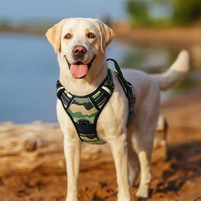 rabbitgoo Dog Harness No Pull with 2 Leash Clips, Adjustable Soft Padded, Reflective Oxford No Choke Pet Vest with Easy Control Handle for Large Dogs, Green Mountain, XL