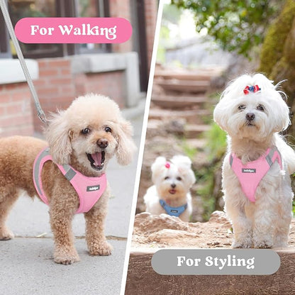 rabbitgoo Small Dog Harness, Step-in Soft Mesh Puppy Vest with Safety Buckle, Breathable Reflective Pet Harness for Small Sized Dogs, Pink & Gray M