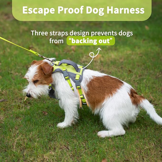 Huntboo Reflective Dog Harness with Handle, Escape Proof, No Slip, Breathable, Lightweight, Adjustable Lift Harness for Small,Medium,and Large Dogs Walking, Training, and Running Gear(Bright Green,XS)