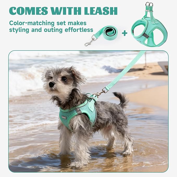 Bolux Dog Harness Small Sized and Leash Set, Step in Soft Light Puppy Vest, Breathable Mesh Pet Harness, Reflective for Safe Easy Walking.
