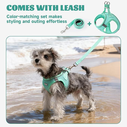 Bolux Dog Harness Small Sized and Leash Set, Step in Soft Light Puppy Vest, Breathable Mesh Pet Harness, Reflective for Safe Easy Walking.