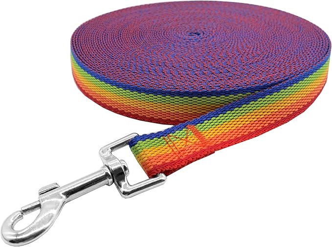 Nylon Training Dog Leash for Small Medium Large Dogs, 15ft 20ft 30ft 50ft Long Leash Dog/Puppy Lead for Obedience Recall Training, Camping (1" x 30ft, Rainbow)