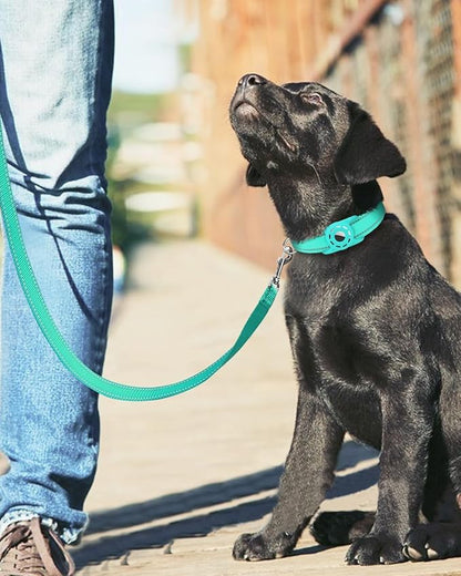 6FT Reflective Nylon Dog Leash with Soft Padded Handle for Walking, Running and Training, Supports Small Medium and Large Dogs (Turquoise, 1 Inch Wide)
