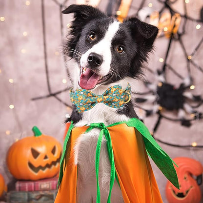 ARING PET Fall Dog Collar with Bow, Halloween Pumpkin Cute Pet Collars with Quick Release Buckle for Puppy Small Medium Large Girl Boy Dogs-M