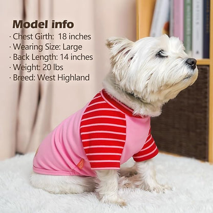 KYEESE 2Pack Dog Sweater, Soft Puppy Sweatshirt Stretchy Pullover Dog Sweater for Small Dogs Girl Boy, Lightweight Fleece Cat Shirt Pet Clothes with Sleeves, M