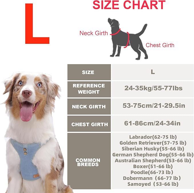 Dog Harness, No Pull Dogs Harness and Multi-Function Leash Set for Medium Dogs Easy Walk Everyday Adjustable Soft Dog Vest Harness Fashionable Dog Accessories Glacier Blue Button-L