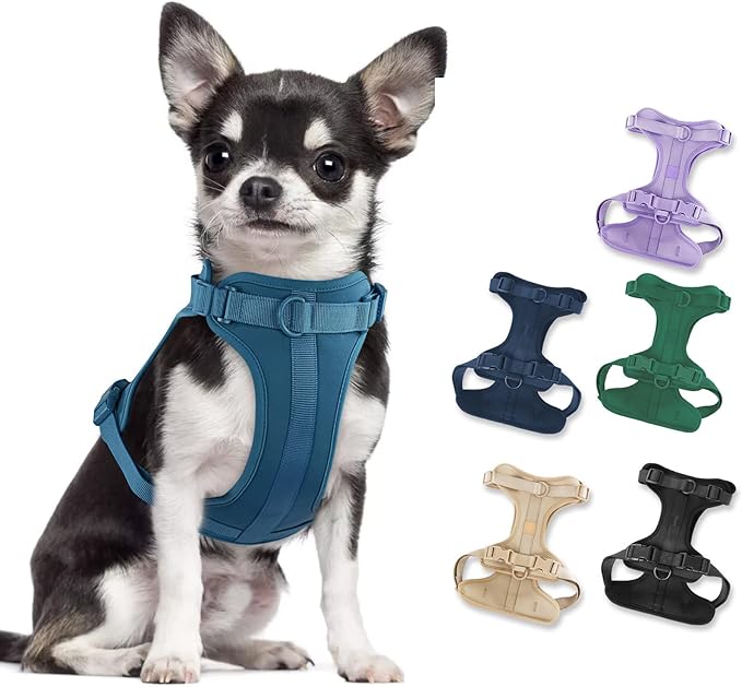 No Pull Lightweight Dog Harness: Adjustable Durable Breathable Mesh Pet Vest Harness with Soft & Comfortable Cushion, for Small Medium Large Dogs (XS, Navy)