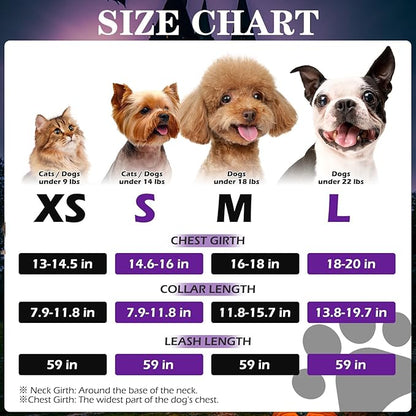 EXPAWLORER Halloween Puppy Harness - Dog Collar and Leash - Soft Mesh Padded Adjustable Step in Small Dog Vest Harness No Pull, Reflective Escape Proof for Outdoor Walking, Purple M