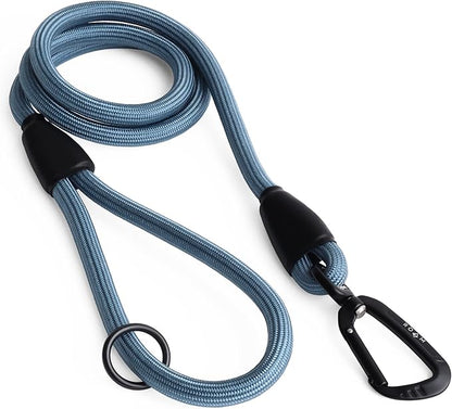 MADE TO ROAM Premium Everyday Leash - Ultra Soft Dog Leash with Aviation Aluminum Carabiner for Small, Medium, Large Dogs - California Horizon, 4ft (Rubber Coated Metal Clamps)